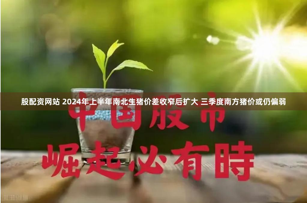 股配资网站 2024年上半年南北生猪价差收窄后扩大 三季度南方猪价或仍偏弱